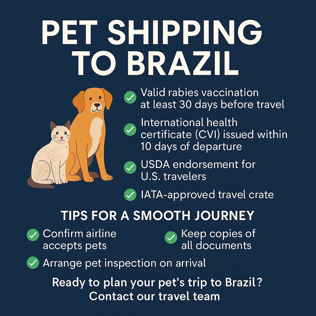 Requirements to travel with a dog 60 photos - Morilly.com
